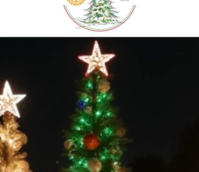 Monroe Holiday Tree Walk