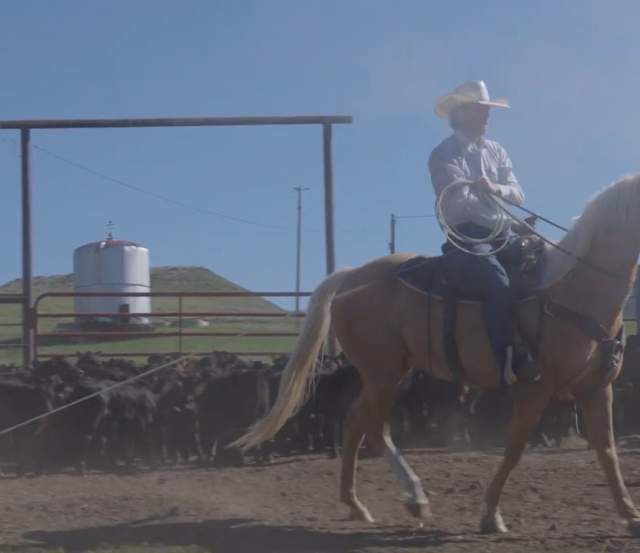 Chancey Williams: From Ranch to Stage