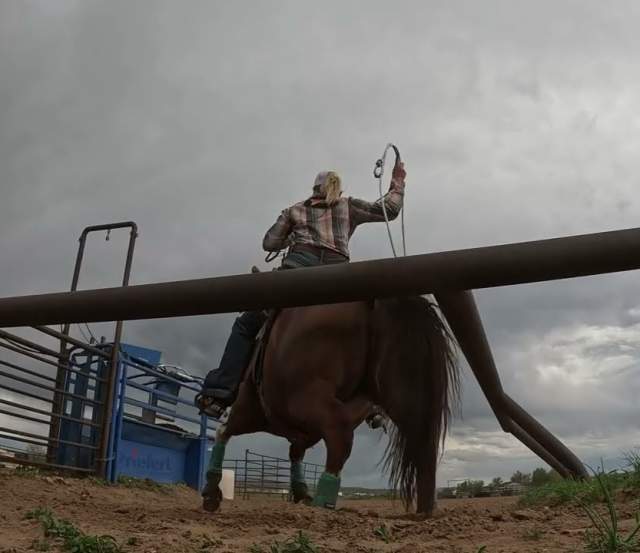 Willow Wilson: Blazing Trails in Rodeo