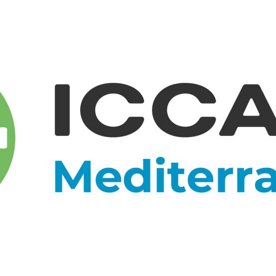Mediterranean Chapter Logo