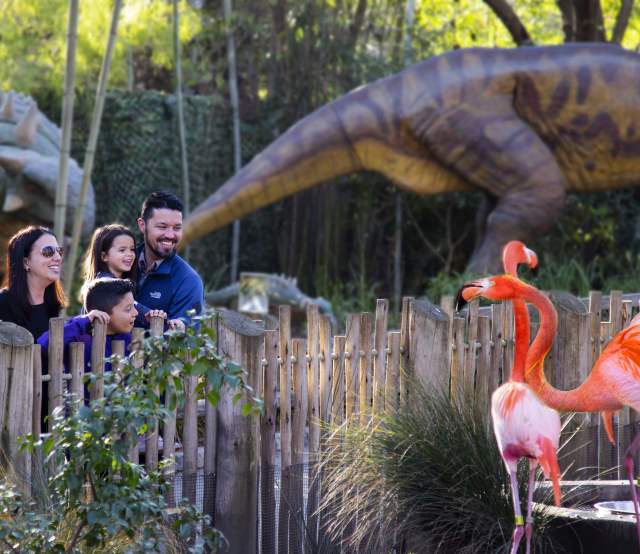 Sacramento Zoo | Things To Do With Kids In Sacramento, CA
