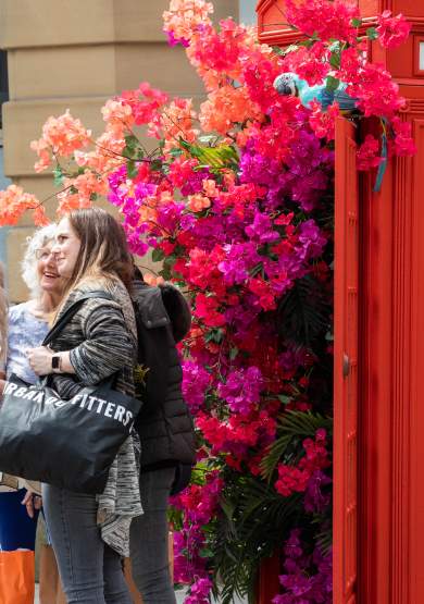 Your Manchester Flower Festival Itinerary