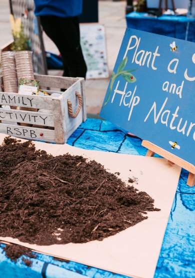 Get Creative at The Manchester Flower Festival - Your Workshop Guide