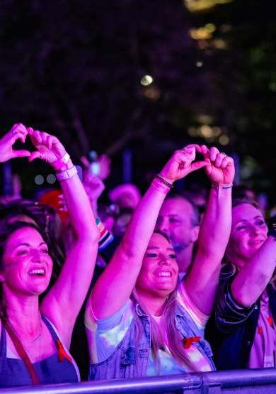 Pride Festival Crowd