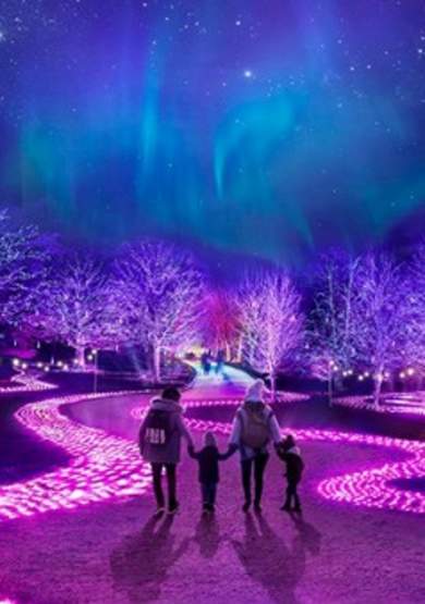 Northern Lights Manchester with John Lewis: Festive Magic Illuminates Heaton Park