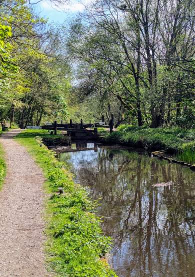 Tame Valley Station-to-Station Walk, Tameside