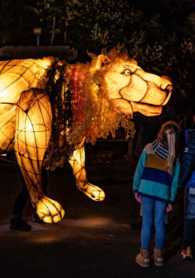 10 Christmas Lights displays around Manchester this winter
