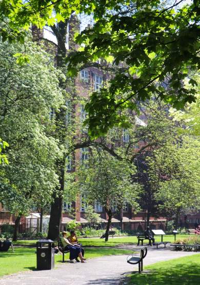 The Best Picnic Spots in Manchester (2026): Parks, Gardens & Takeaway Food Nearby