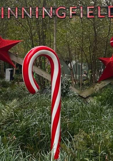 Experience a Magical Christmas at Spinningfields