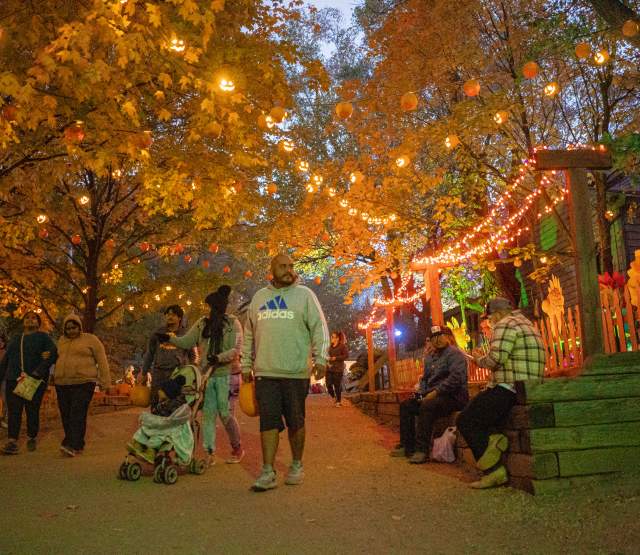 Vala's Pumpkin Patch
