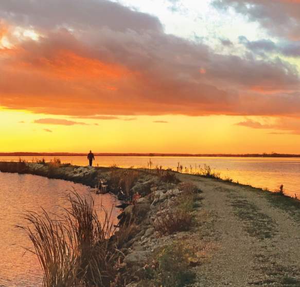 TerrellsIsland_Trails