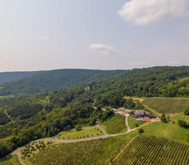 Aerial of Bluemont Vineyard's tasting room and vine rows set against the forested Blue Ridge hills in Bluemont, Virginia