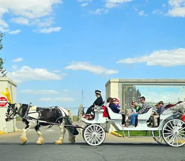 Group Tour Itineraries