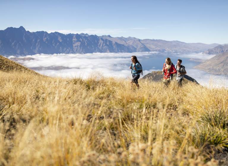 Ben Lomond Track in summer