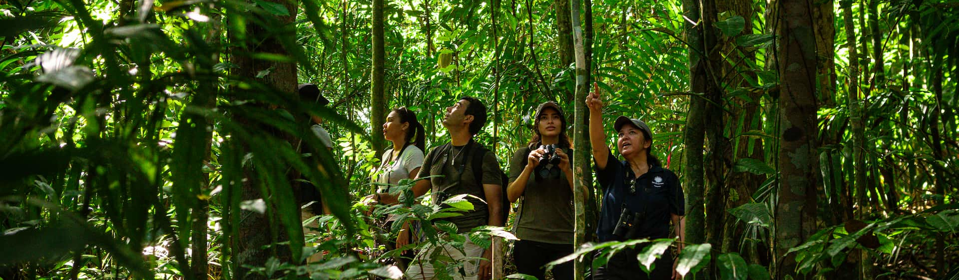 Excursão de caminhada guiada pela Blue Ridge Parkway 2026 - Asheville, image size:1920x562