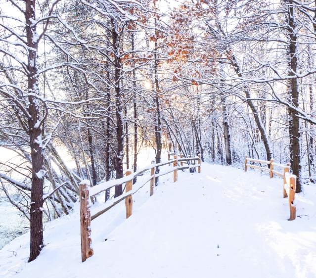 Top Spots for a Winter Hike in the Stevens Point Area
