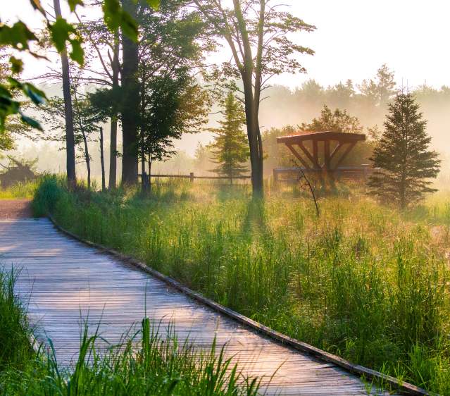 Top Spots for a Spring Hike in the Stevens Point Area