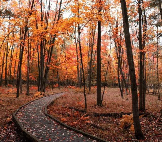 Top Spots for a Fall Hike in the Stevens Point Area