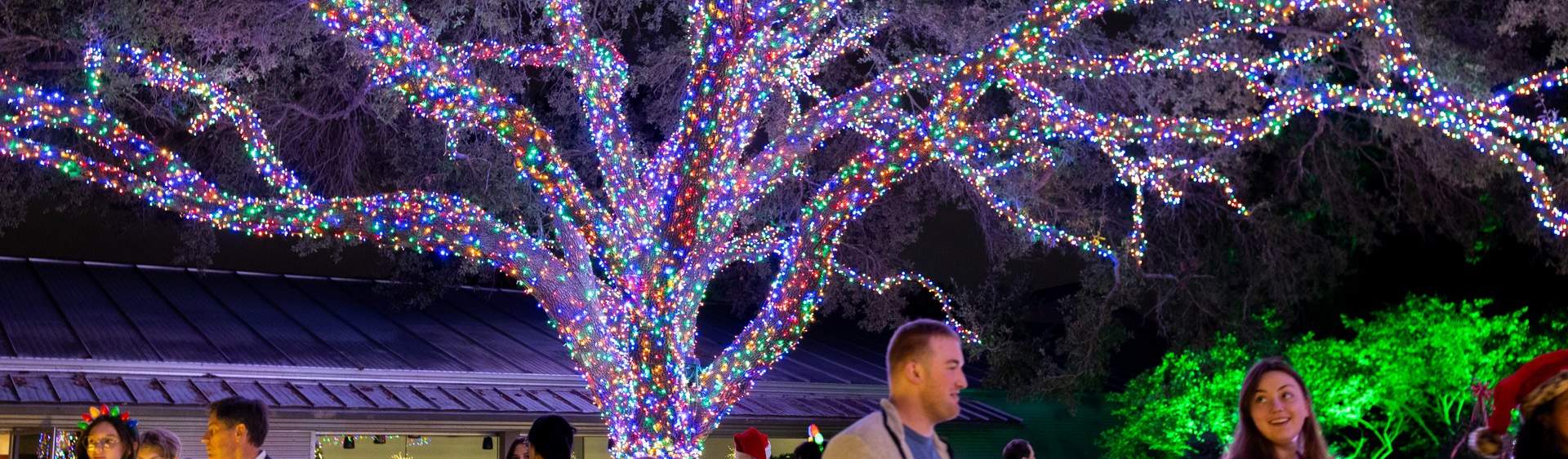 Christmas Lights in Baton Rouge | Visit Baton Rouge