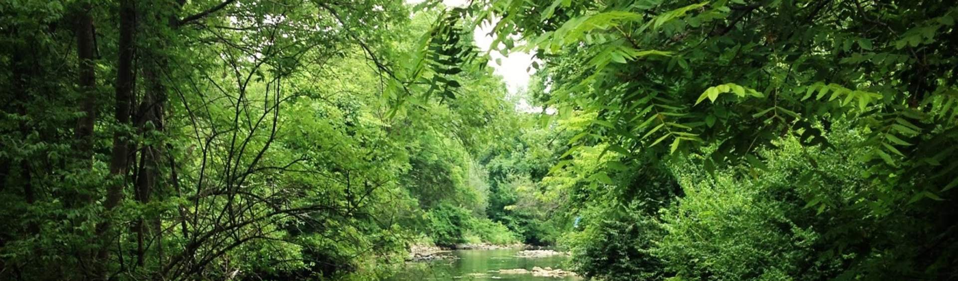 LeTort Nature Trail - Where Urban Living & Wildlife Converge
