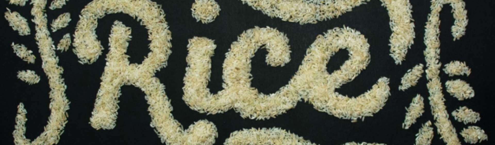 Rice processor to expand in Louisiana