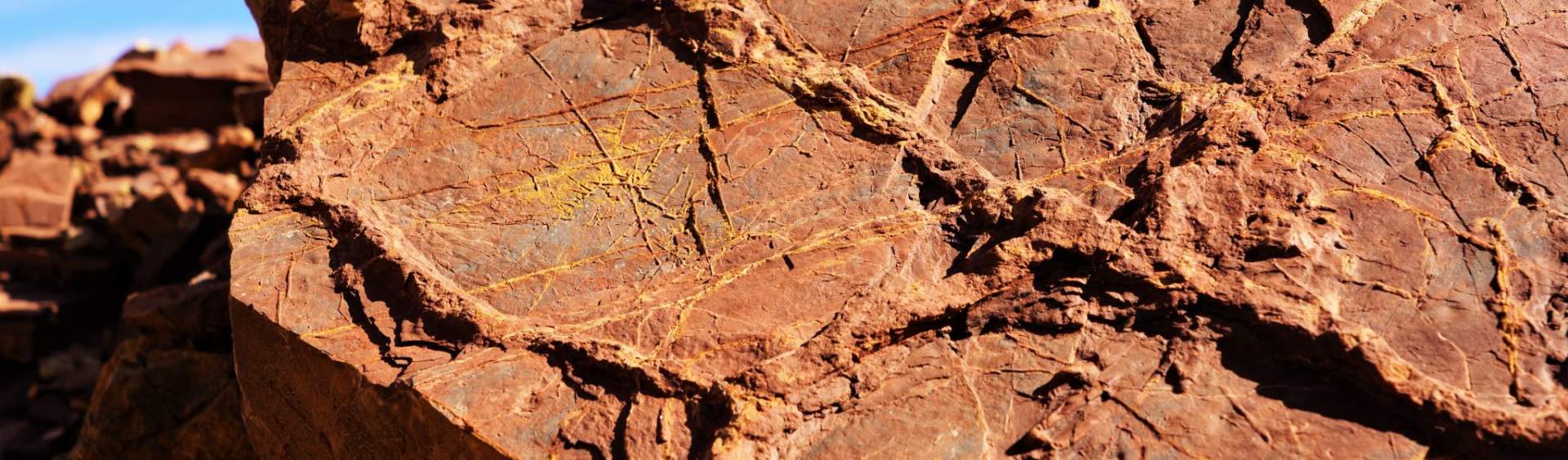 Land before time: Exploring Prehistoric Trackways through