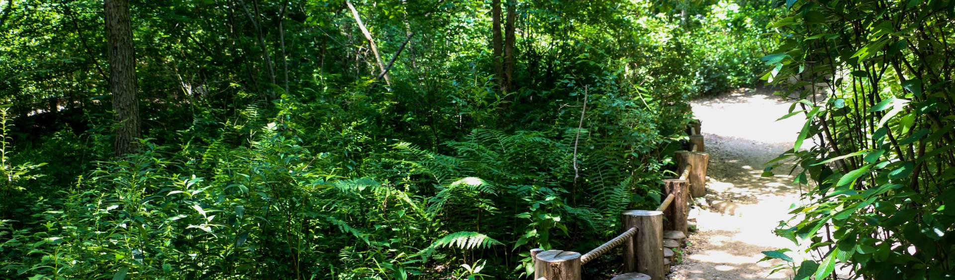 Best long island hikes shop