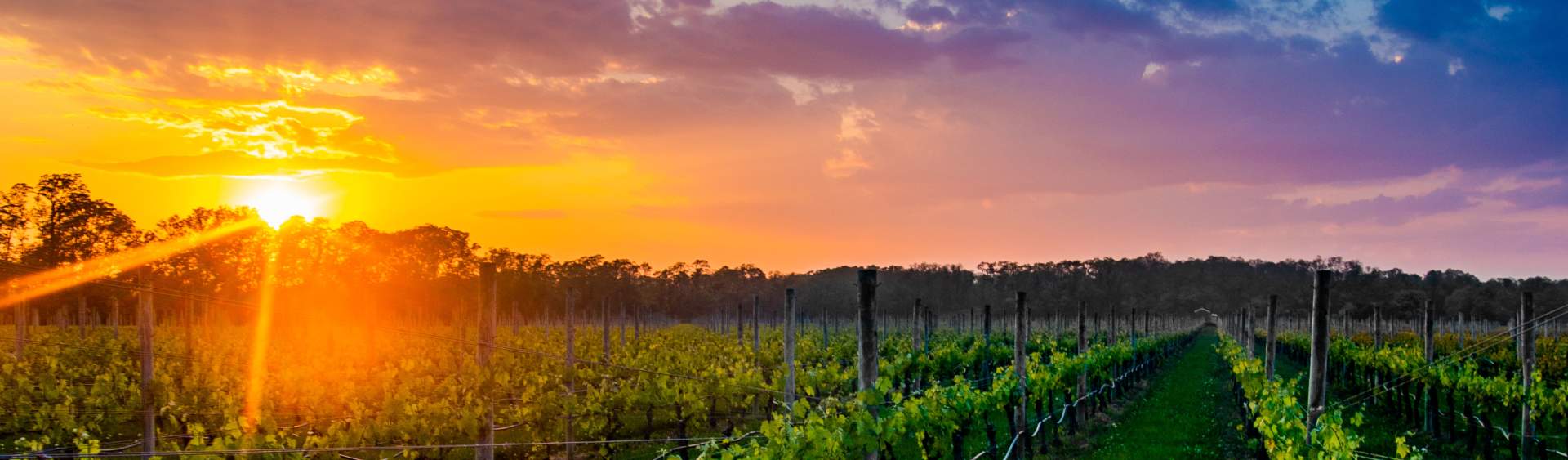 Wineries in riverhead ny cheap