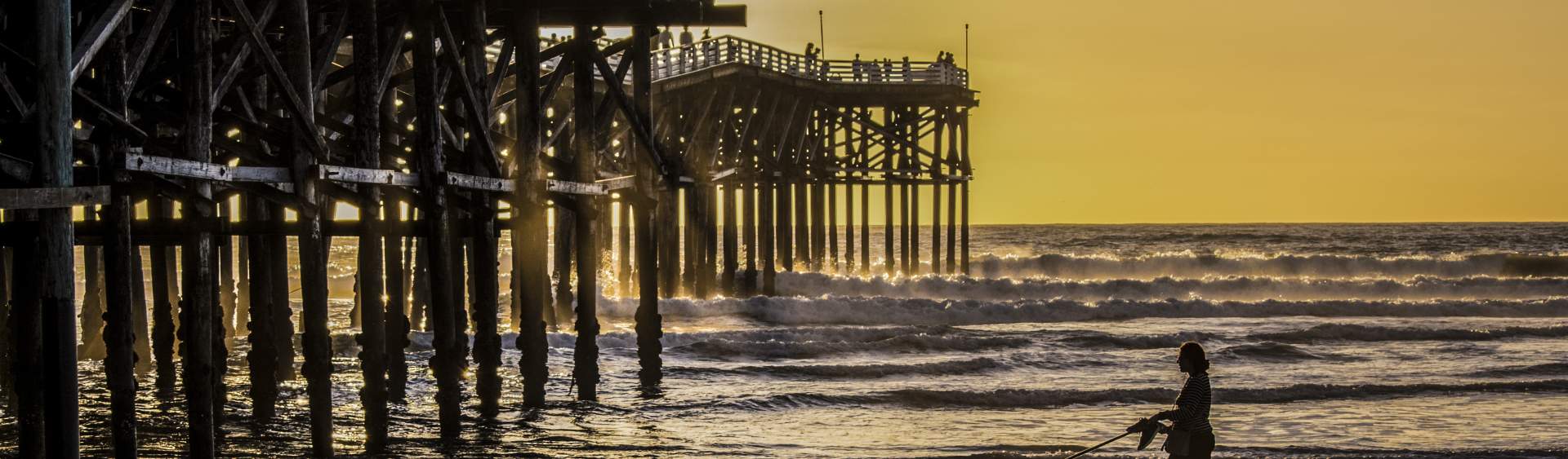 Best Dog-Friendly Things to do in San Diego