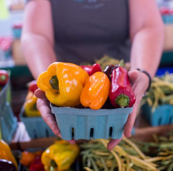 Top Farmers Markets in York County, PA