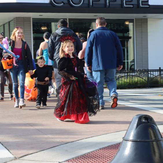 Spooky Season: Your Guide to Halloween Fun