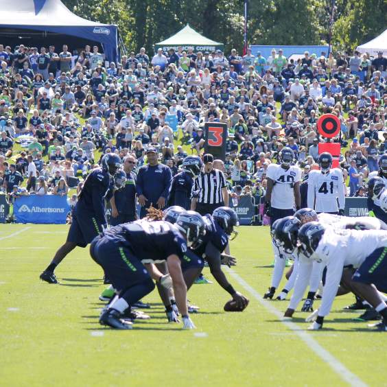 Celebrate the Seahawks