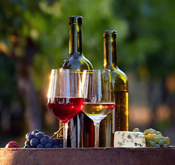 Behind-the-Scenes Wine Tour & Tasting Experience