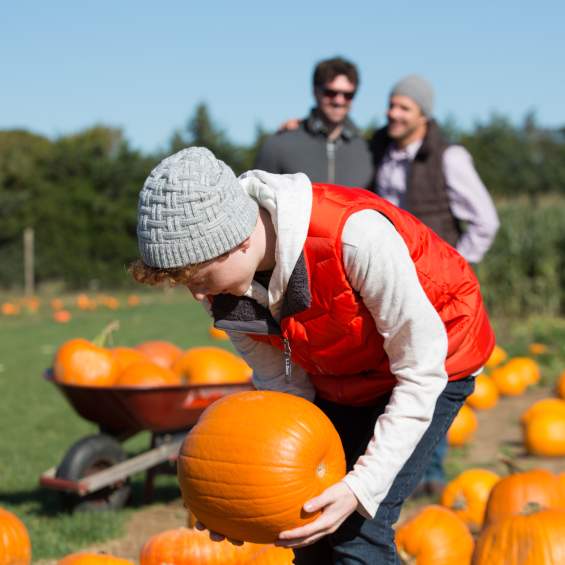 Your "U-Pick" Guide This Fall
