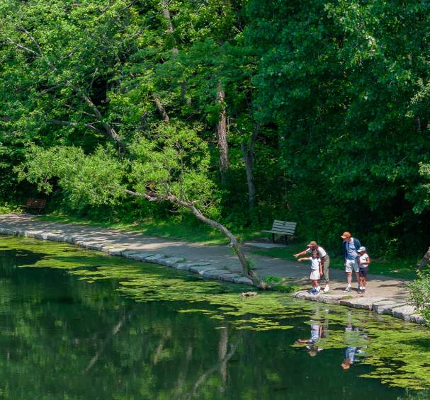 nature & trails