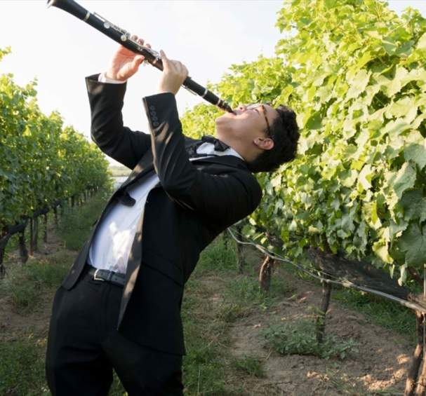Music Niagara Festival 2026