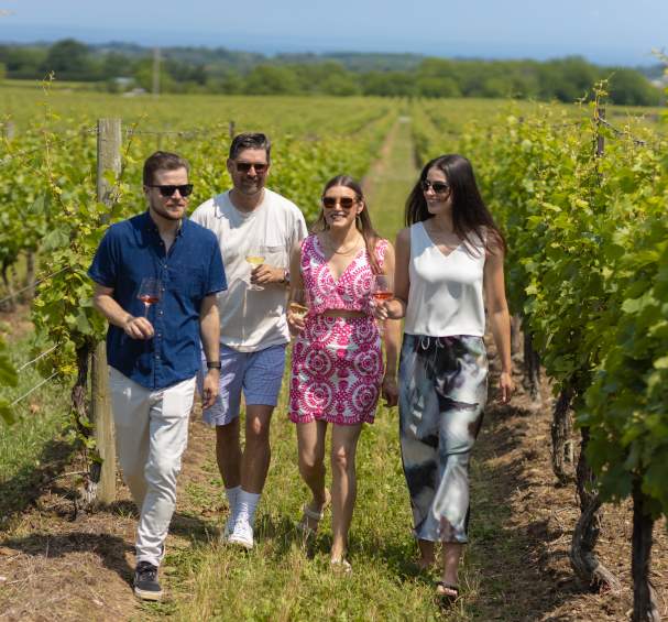 Summer Wine Trail