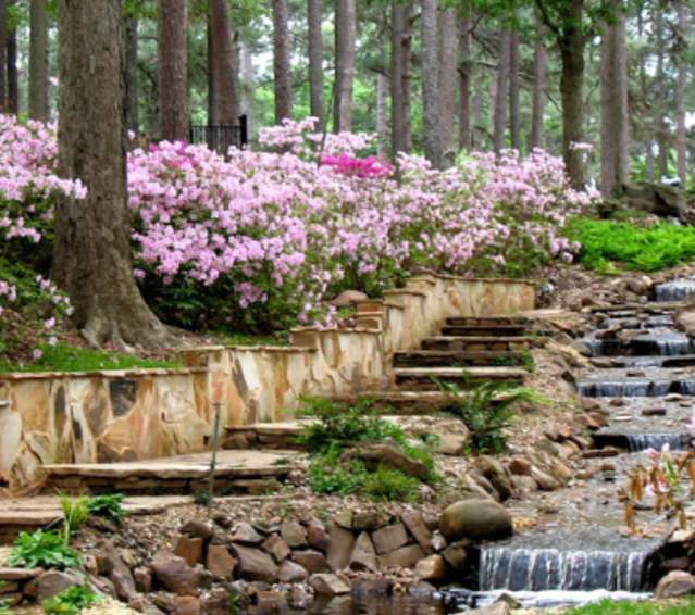 r.w. norton art gallery gardens