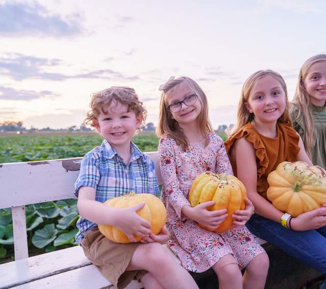 Dixie Maze Fall Festival Pumpkins