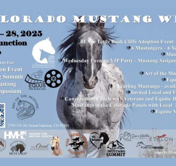 Colorado Mustang West