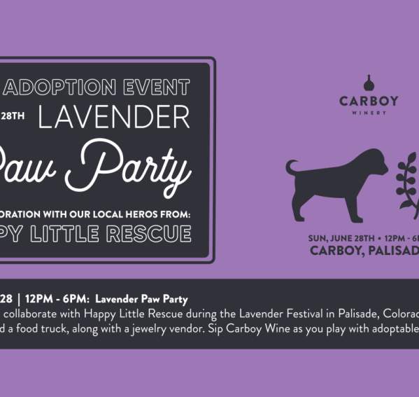 Lavender Paw Party