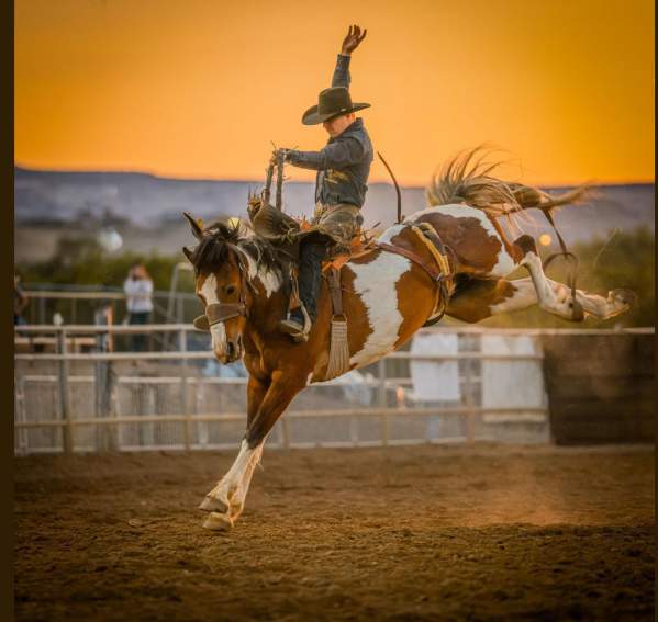 Colorado Stampede PRCA Rodeo
