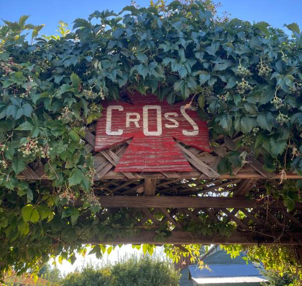 Farmers Market at Cross Orchards