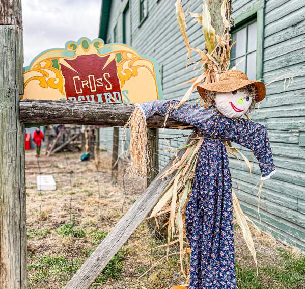 Pumpkin Patch at Cross Orchards