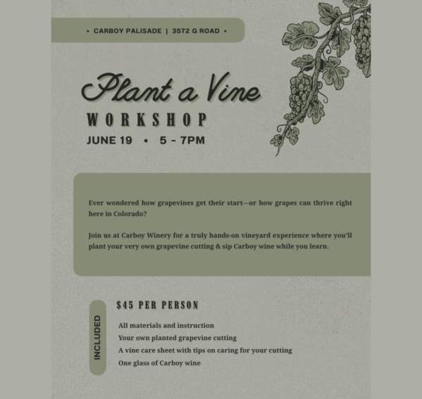 Plant a Vine Workshop