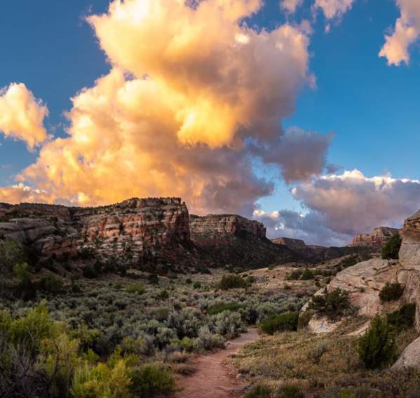 Full Moon Walk at Colorado National Monument