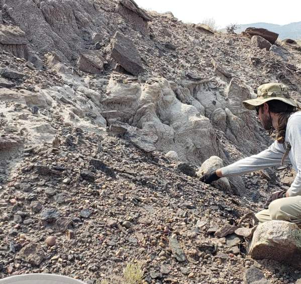 Fossil Prospecting Hike (1-Day Expedition)