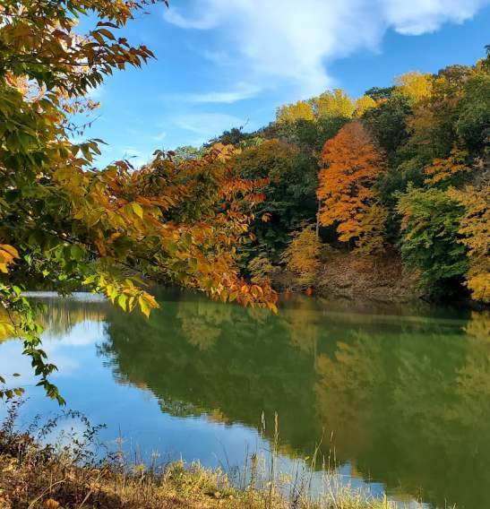 Fall