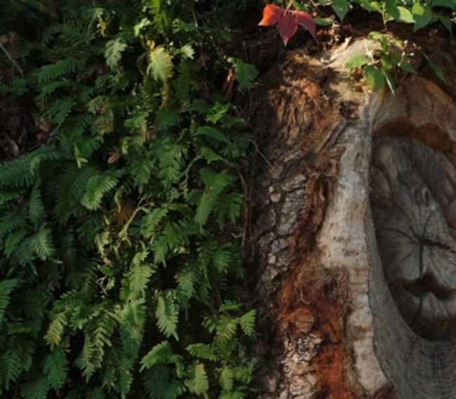Golden Isles - Tree Spirits