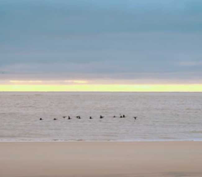 East Beach